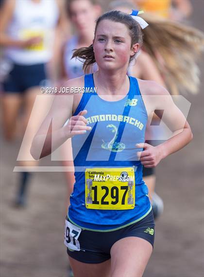 Thumbnail 2 in CIF State Cross Country Championships (Girls D2 Race) photogallery.