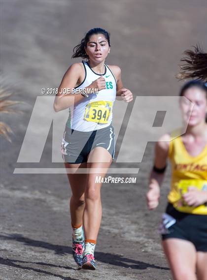 Thumbnail 3 in CIF State Cross Country Championships (Girls D2 Race) photogallery.