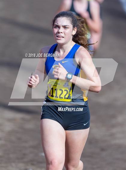 Thumbnail 2 in CIF State Cross Country Championships (Girls D2 Race) photogallery.