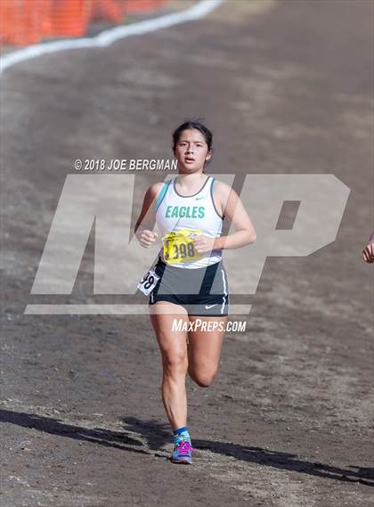 Thumbnail 3 in CIF State Cross Country Championships (Girls D2 Race) photogallery.