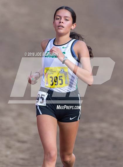 Thumbnail 3 in CIF State Cross Country Championships (Girls D2 Race) photogallery.