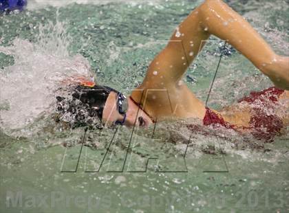 Thumbnail 3 in Newport @ Issaquah photogallery.