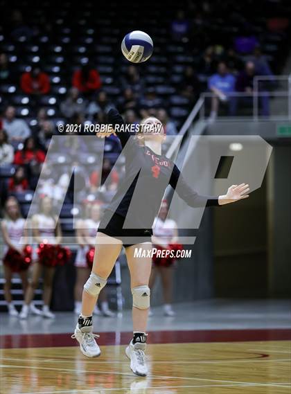 Thumbnail 1 in Lovejoy vs. Grapevine (UIL Volleyball 5A Finals) photogallery.