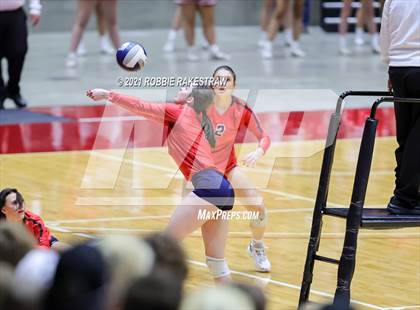 Thumbnail 2 in Lovejoy vs. Grapevine (UIL Volleyball 5A Finals) photogallery.