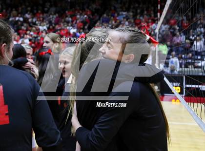 Thumbnail 3 in Lovejoy vs. Grapevine (UIL Volleyball 5A Finals) photogallery.