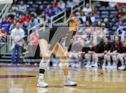 Thumbnail 1 in Lovejoy vs. Grapevine (UIL Volleyball 5A Finals) photogallery.