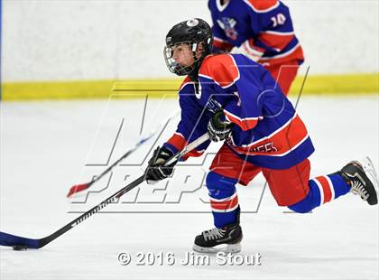 Thumbnail 1 in Hall/Conard @ Notre Dame-Fairfield/Foran photogallery.