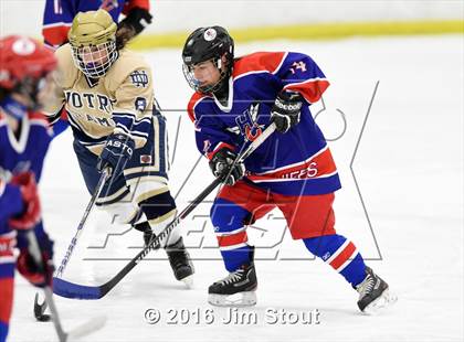 Thumbnail 1 in Hall/Conard @ Notre Dame-Fairfield/Foran photogallery.