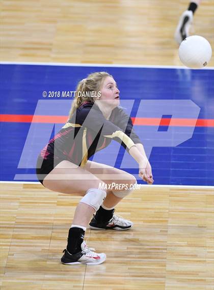 Thumbnail 1 in Palmer Ridge vs. Ponderosa (CHSAA 4A Playoff) photogallery.