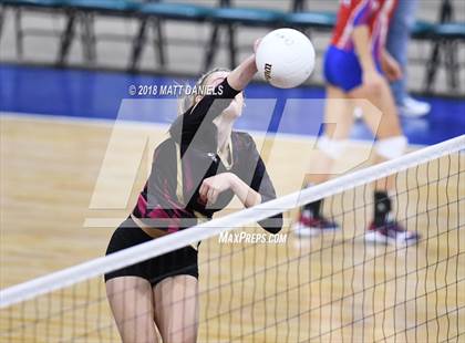 Thumbnail 1 in Palmer Ridge vs. Ponderosa (CHSAA 4A Playoff) photogallery.