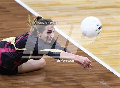 Thumbnail 2 in Palmer Ridge vs. Ponderosa (CHSAA 4A Playoff) photogallery.