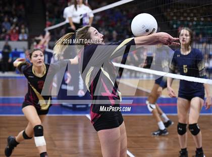 Thumbnail 3 in Palmer Ridge vs. Ponderosa (CHSAA 4A Playoff) photogallery.