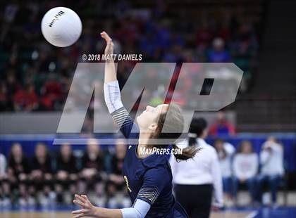 Thumbnail 1 in Palmer Ridge vs. Ponderosa (CHSAA 4A Playoff) photogallery.