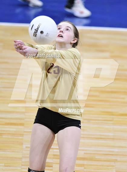 Thumbnail 2 in Palmer Ridge vs. Ponderosa (CHSAA 4A Playoff) photogallery.