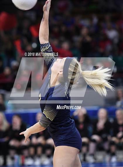 Thumbnail 1 in Palmer Ridge vs. Ponderosa (CHSAA 4A Playoff) photogallery.