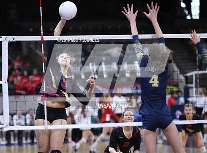 Thumbnail 3 in Palmer Ridge vs. Ponderosa (CHSAA 4A Playoff) photogallery.