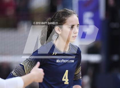 Thumbnail 2 in Palmer Ridge vs. Ponderosa (CHSAA 4A Playoff) photogallery.