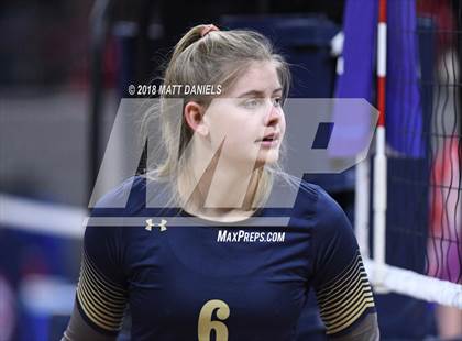Thumbnail 3 in Palmer Ridge vs. Ponderosa (CHSAA 4A Playoff) photogallery.