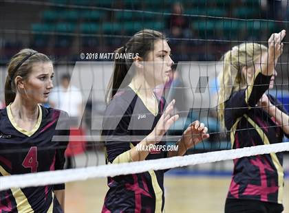 Thumbnail 3 in Palmer Ridge vs. Ponderosa (CHSAA 4A Playoff) photogallery.