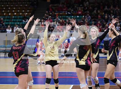 Thumbnail 1 in Palmer Ridge vs. Ponderosa (CHSAA 4A Playoff) photogallery.