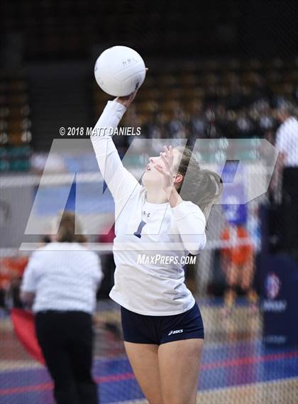 Thumbnail 3 in Palmer Ridge vs. Ponderosa (CHSAA 4A Playoff) photogallery.