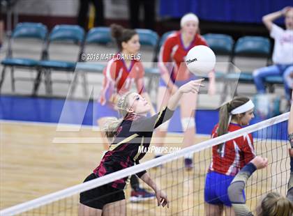 Thumbnail 2 in Palmer Ridge vs. Ponderosa (CHSAA 4A Playoff) photogallery.