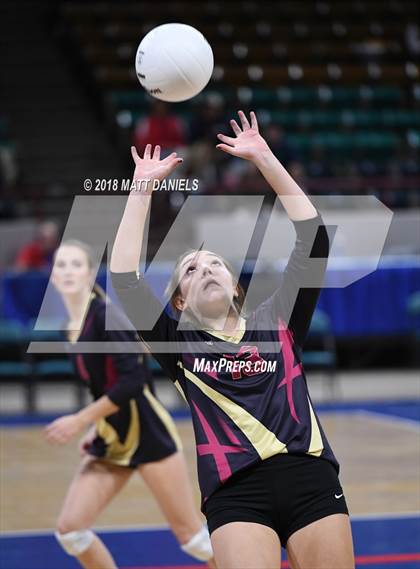 Thumbnail 3 in Palmer Ridge vs. Ponderosa (CHSAA 4A Playoff) photogallery.