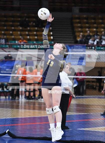 Thumbnail 1 in Palmer Ridge vs. Ponderosa (CHSAA 4A Playoff) photogallery.