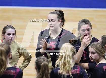 Thumbnail 2 in Palmer Ridge vs. Ponderosa (CHSAA 4A Playoff) photogallery.