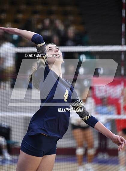 Thumbnail 3 in Palmer Ridge vs. Ponderosa (CHSAA 4A Playoff) photogallery.