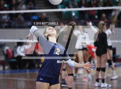 Thumbnail 2 in Palmer Ridge vs. Ponderosa (CHSAA 4A Playoff) photogallery.