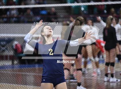 Thumbnail 1 in Palmer Ridge vs. Ponderosa (CHSAA 4A Playoff) photogallery.