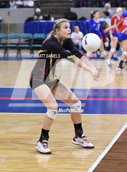 Thumbnail 2 in Palmer Ridge vs. Ponderosa (CHSAA 4A Playoff) photogallery.