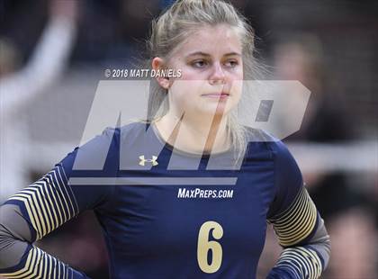 Thumbnail 3 in Palmer Ridge vs. Ponderosa (CHSAA 4A Playoff) photogallery.