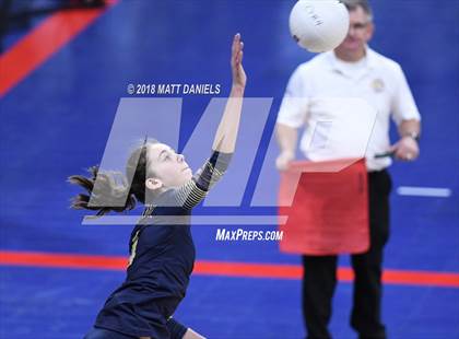 Thumbnail 1 in Palmer Ridge vs. Ponderosa (CHSAA 4A Playoff) photogallery.