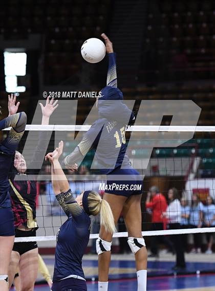 Thumbnail 2 in Palmer Ridge vs. Ponderosa (CHSAA 4A Playoff) photogallery.