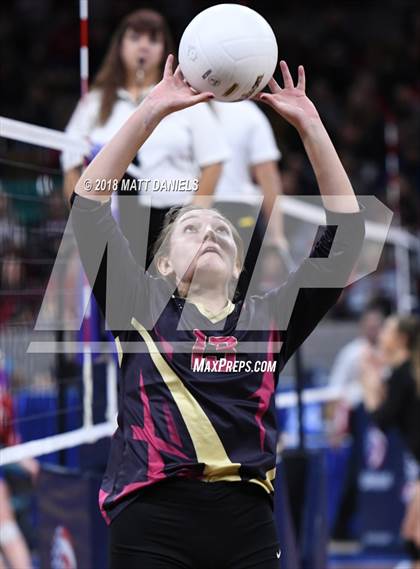 Thumbnail 2 in Palmer Ridge vs. Ponderosa (CHSAA 4A Playoff) photogallery.