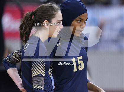 Thumbnail 1 in Palmer Ridge vs. Ponderosa (CHSAA 4A Playoff) photogallery.