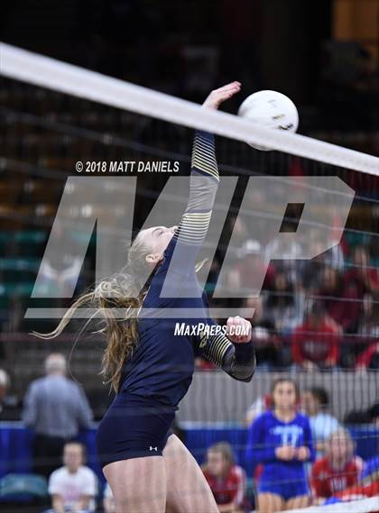 Thumbnail 3 in Palmer Ridge vs. Ponderosa (CHSAA 4A Playoff) photogallery.