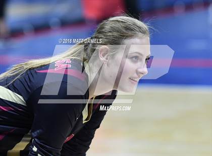 Thumbnail 1 in Palmer Ridge vs. Ponderosa (CHSAA 4A Playoff) photogallery.