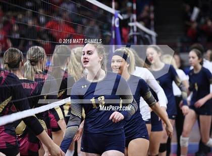 Thumbnail 3 in Palmer Ridge vs. Ponderosa (CHSAA 4A Playoff) photogallery.