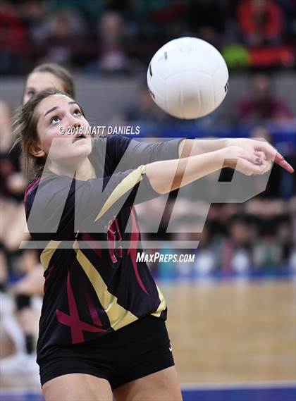 Thumbnail 3 in Palmer Ridge vs. Ponderosa (CHSAA 4A Playoff) photogallery.