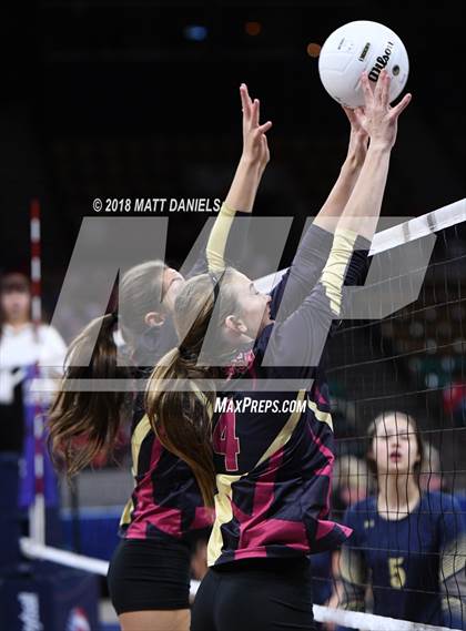Thumbnail 2 in Palmer Ridge vs. Ponderosa (CHSAA 4A Playoff) photogallery.
