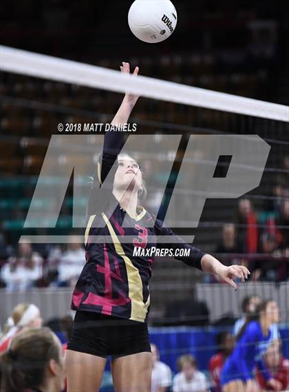 Thumbnail 2 in Palmer Ridge vs. Ponderosa (CHSAA 4A Playoff) photogallery.