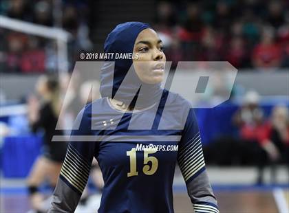 Thumbnail 1 in Palmer Ridge vs. Ponderosa (CHSAA 4A Playoff) photogallery.