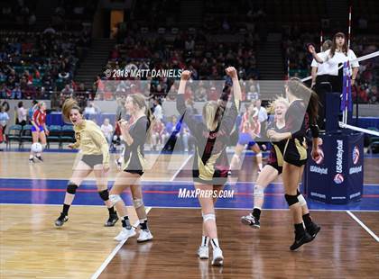 Thumbnail 1 in Palmer Ridge vs. Ponderosa (CHSAA 4A Playoff) photogallery.