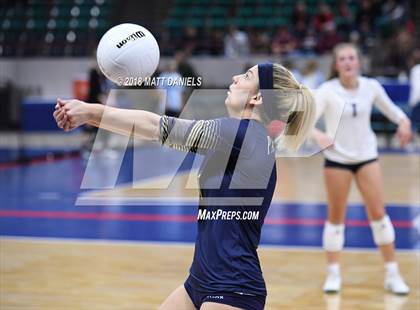 Thumbnail 1 in Palmer Ridge vs. Ponderosa (CHSAA 4A Playoff) photogallery.