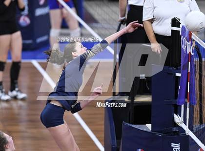 Thumbnail 3 in Palmer Ridge vs. Ponderosa (CHSAA 4A Playoff) photogallery.