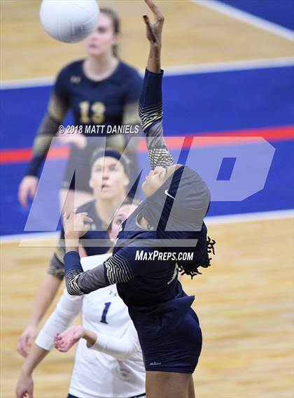 Thumbnail 3 in Palmer Ridge vs. Ponderosa (CHSAA 4A Playoff) photogallery.