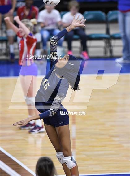 Thumbnail 1 in Palmer Ridge vs. Ponderosa (CHSAA 4A Playoff) photogallery.